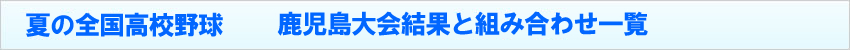 夏の全国高校野球鹿児島大会結果・組み合わせ一覧